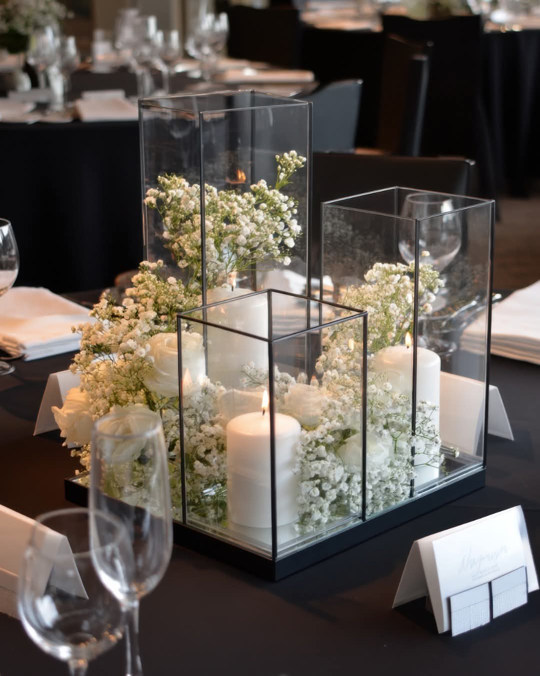 With Fresh Gypsophila