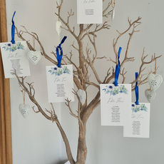 Hint Of Blue Table Plan