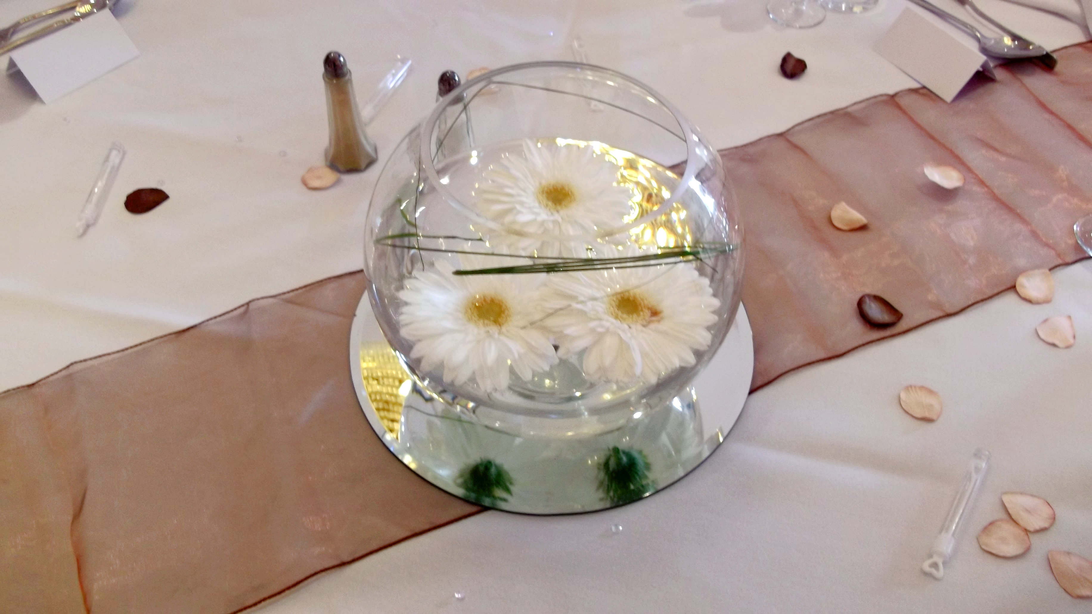 With Fresh White Gerbera