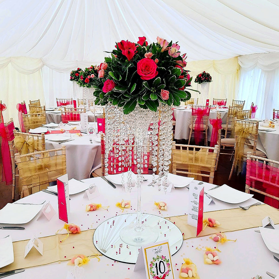 With Fresh Hot Pink Roses & Pitto