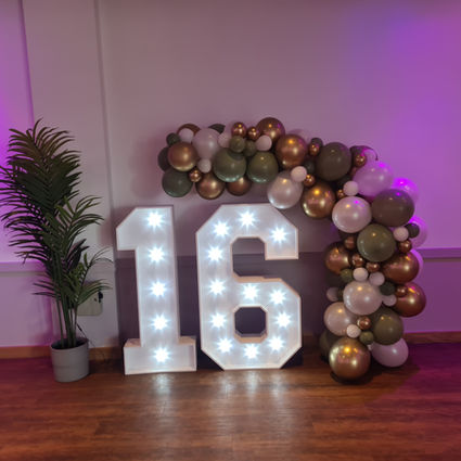 LED Light Up Number 16