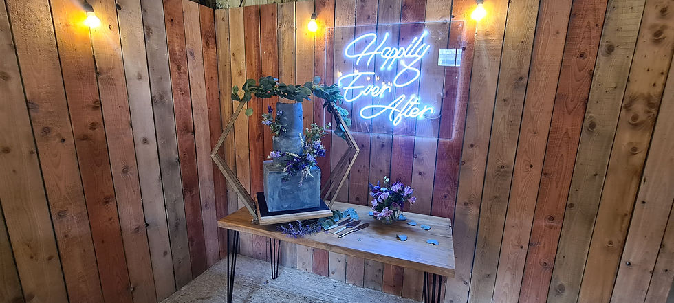 Happily Ever After Neon