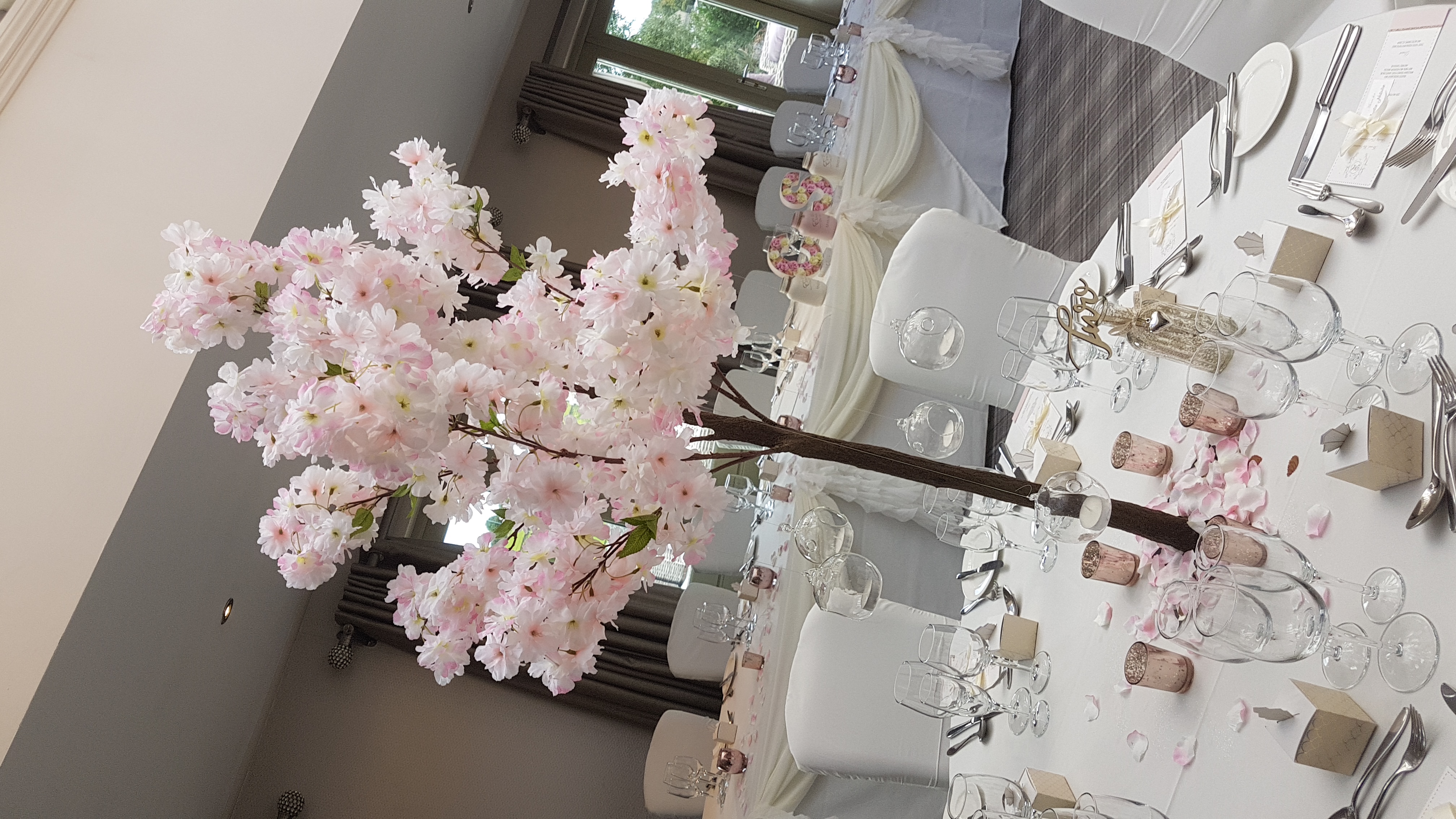 Pink Blossom Tree