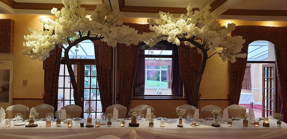 IVORY CANOPY BLOSSOM TREES