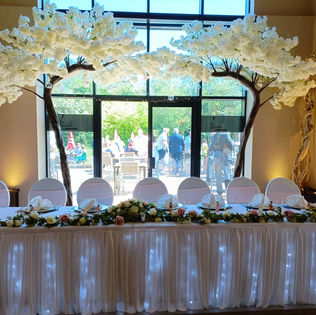 Ivory Canopy Blossom Trees