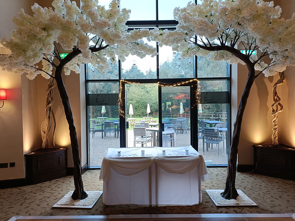 IVORY CANOPY BLOSSOM TREES
