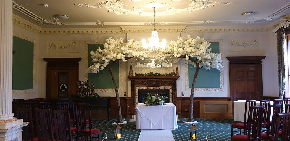 IVORY CANOPY BLOSSOM TREES