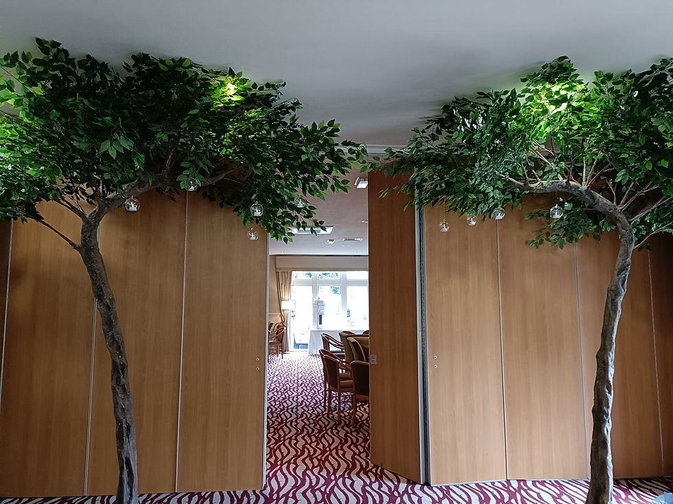 GREENERY CANOPY TREES0706111617