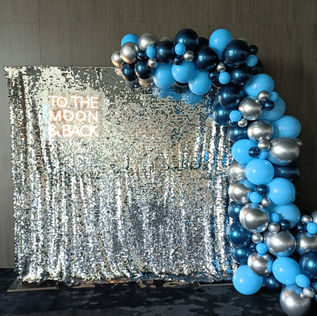 Silver Sequin Backdrop