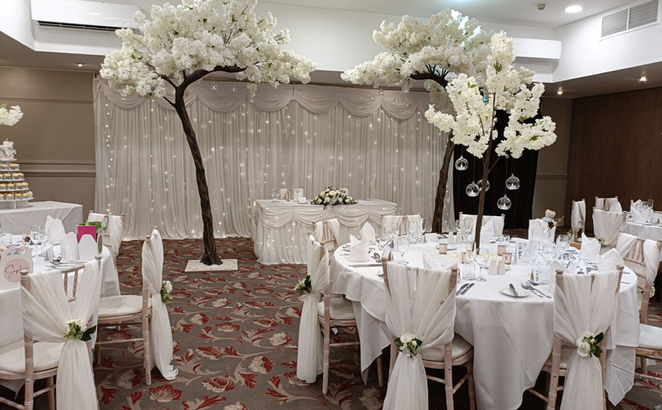 Ivory Blossom Canopy Trees