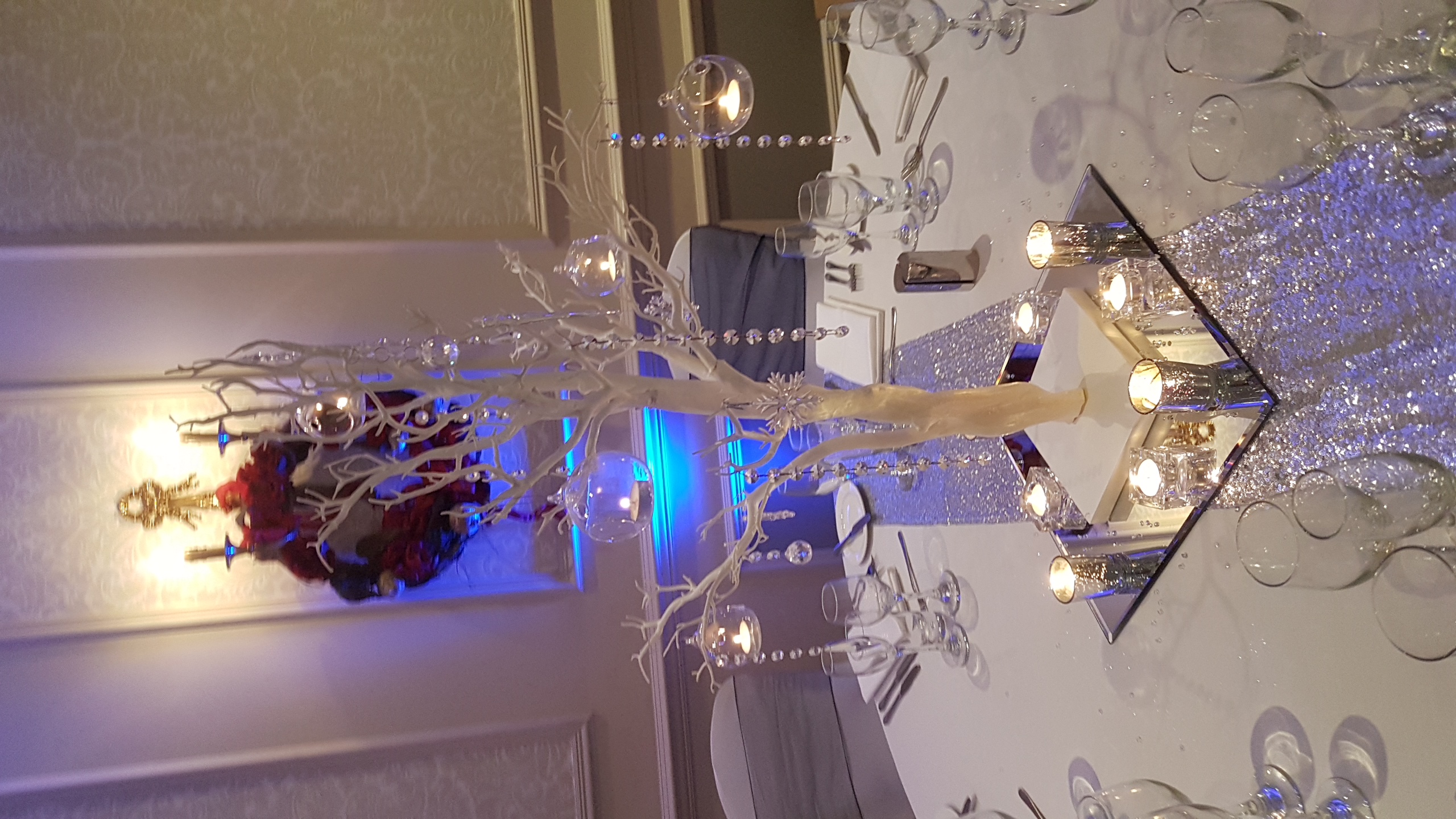 White Manzanita Tree