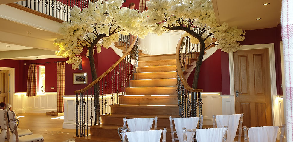 IVORY CANOPY BLOSSOM TREES