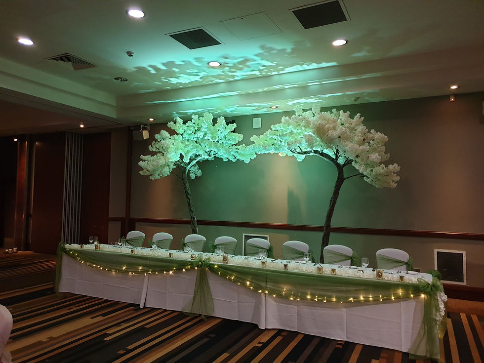 IVORY CANOPY BLOSSOM TREES