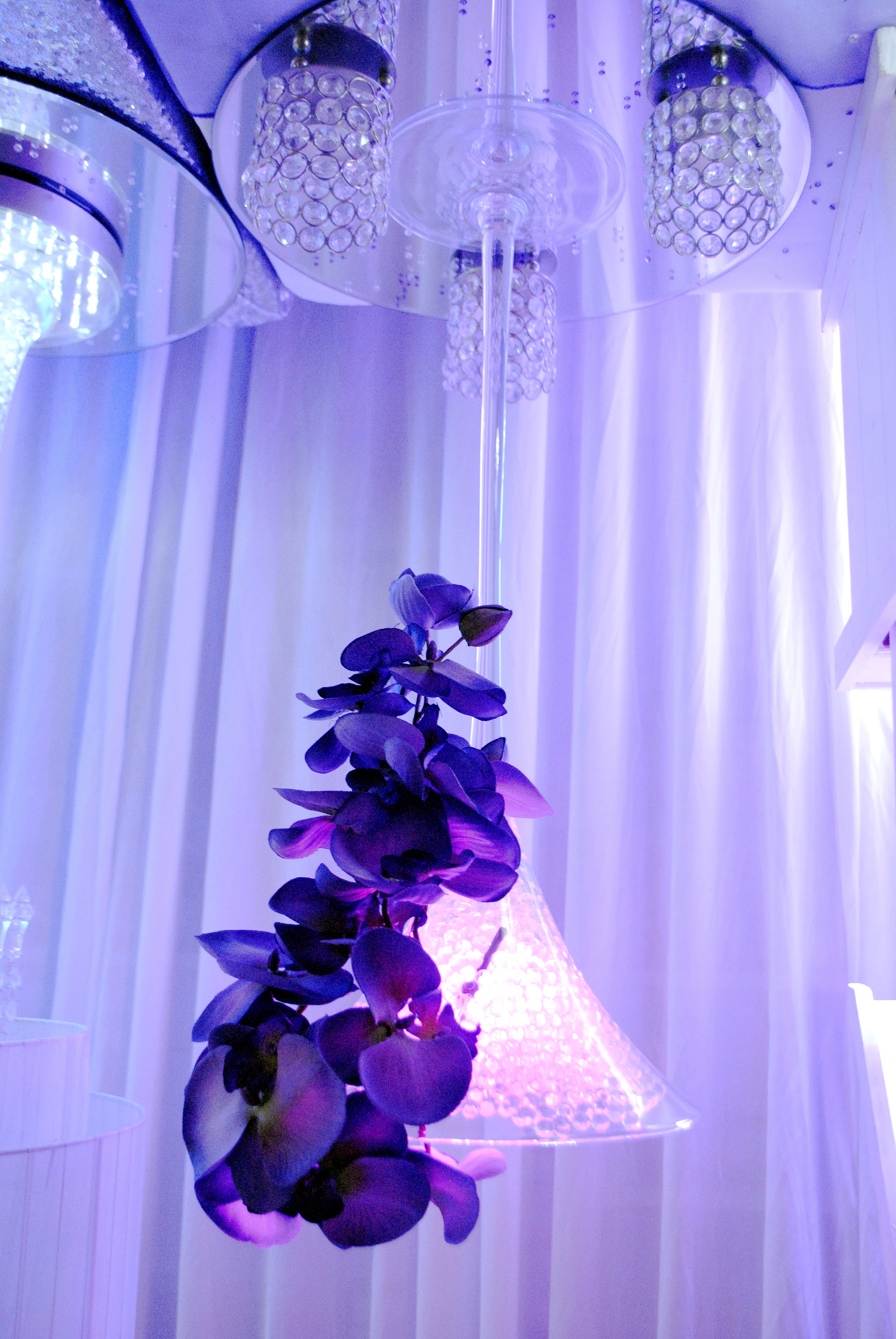 With Purple Orchids