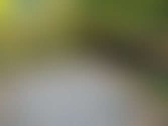 Install of Custom Deck Rails and Posts