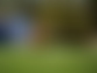 Sikorski does the dirty work for Frontier