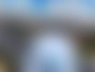 ¿Es mas barato construir con hormigón o estructura metálica?