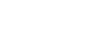 Transparent-PNG-B (1).png
