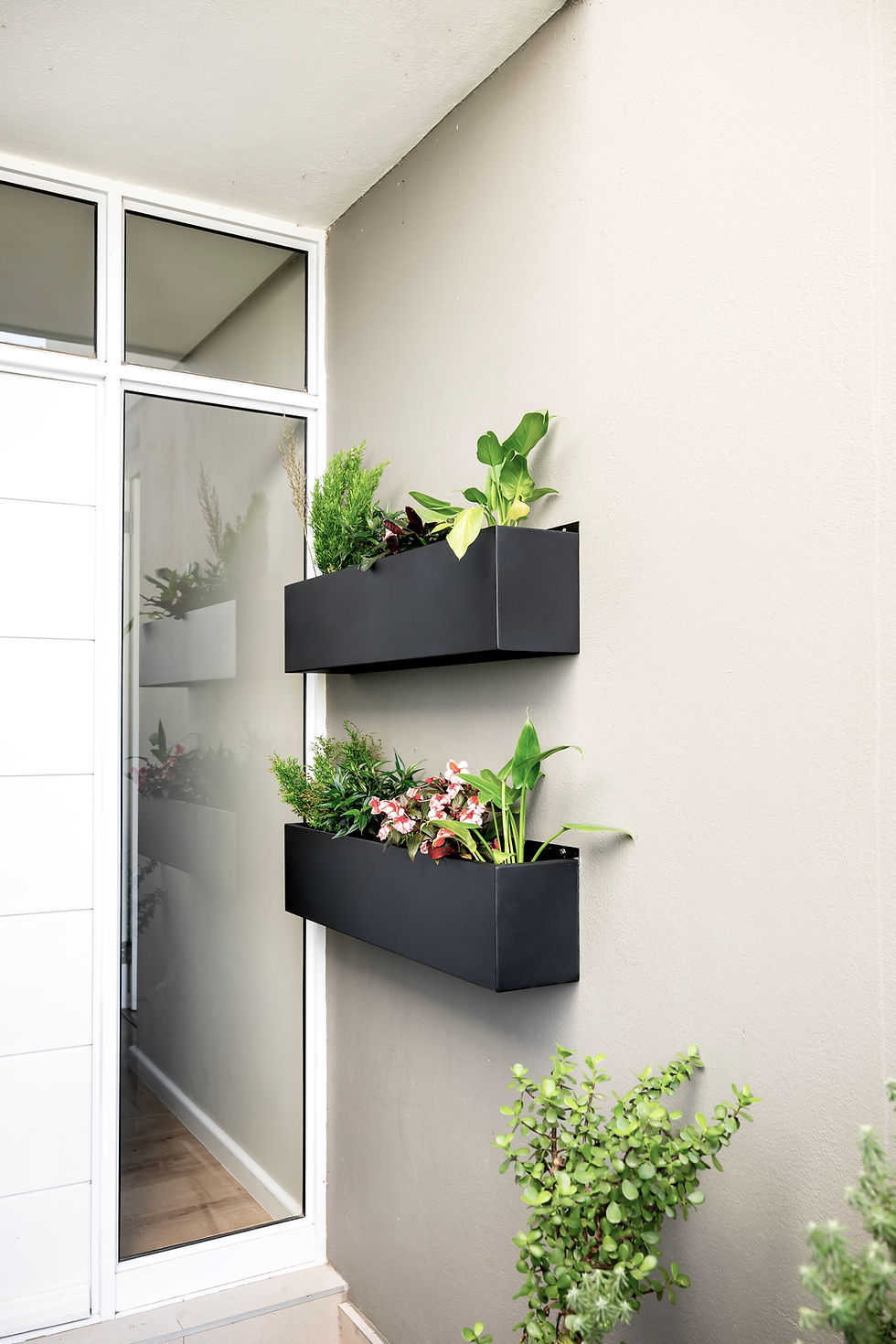 Thumbnail: Long Wall Planter
