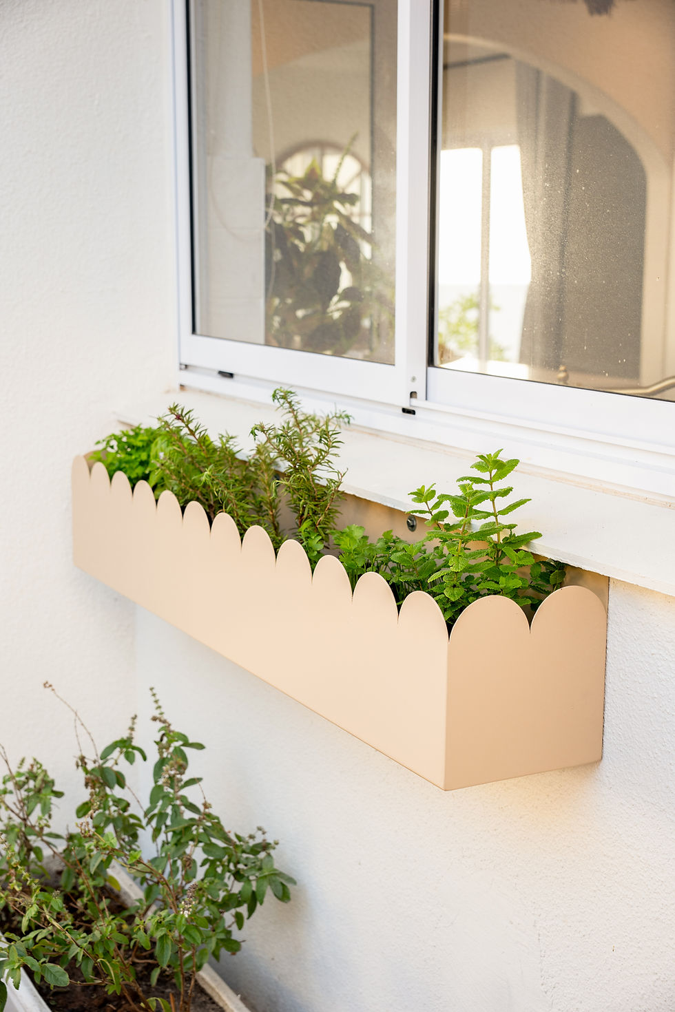 Thumbnail: Scallop Wall Planter