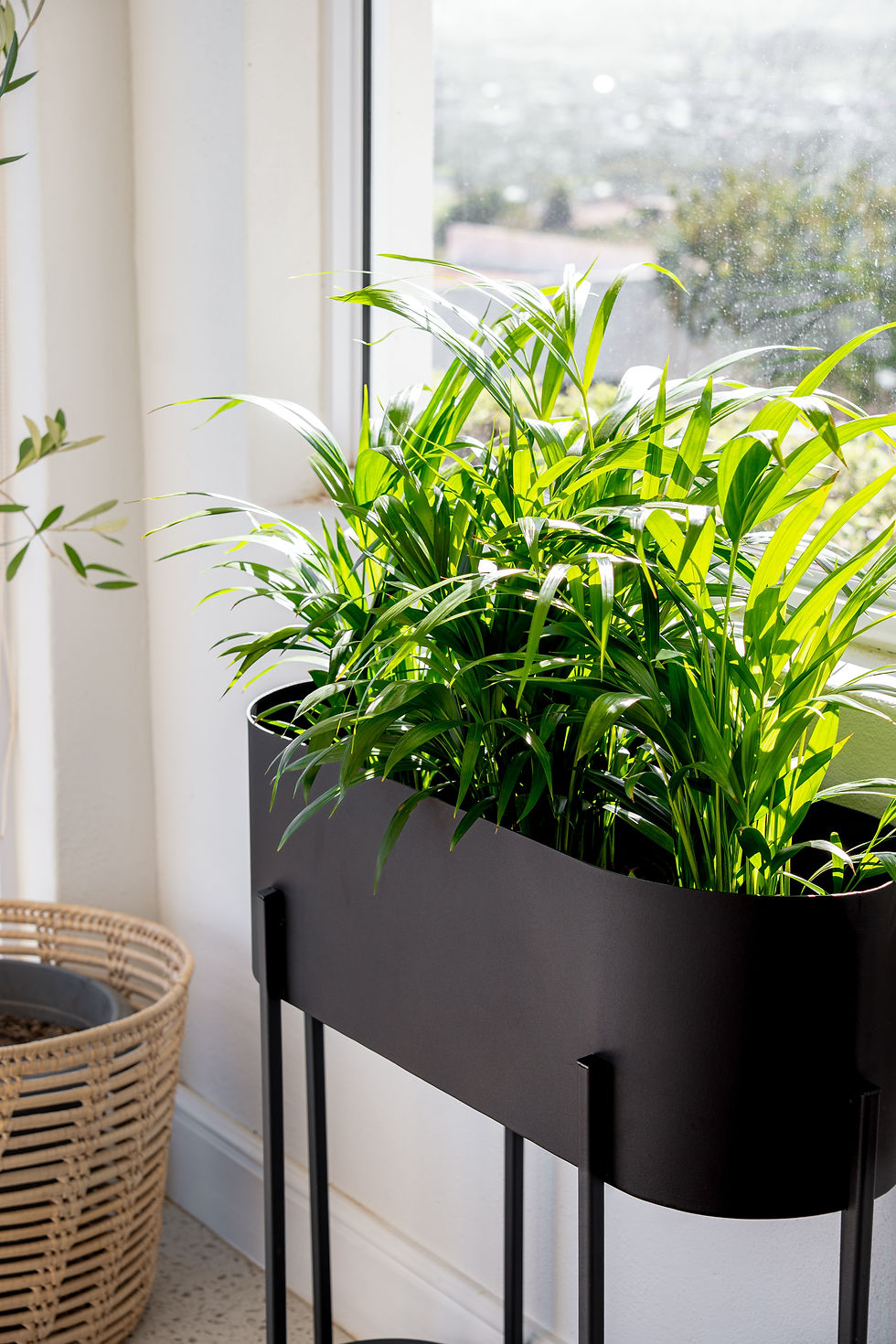 Thumbnail: Capsule Standing Planter