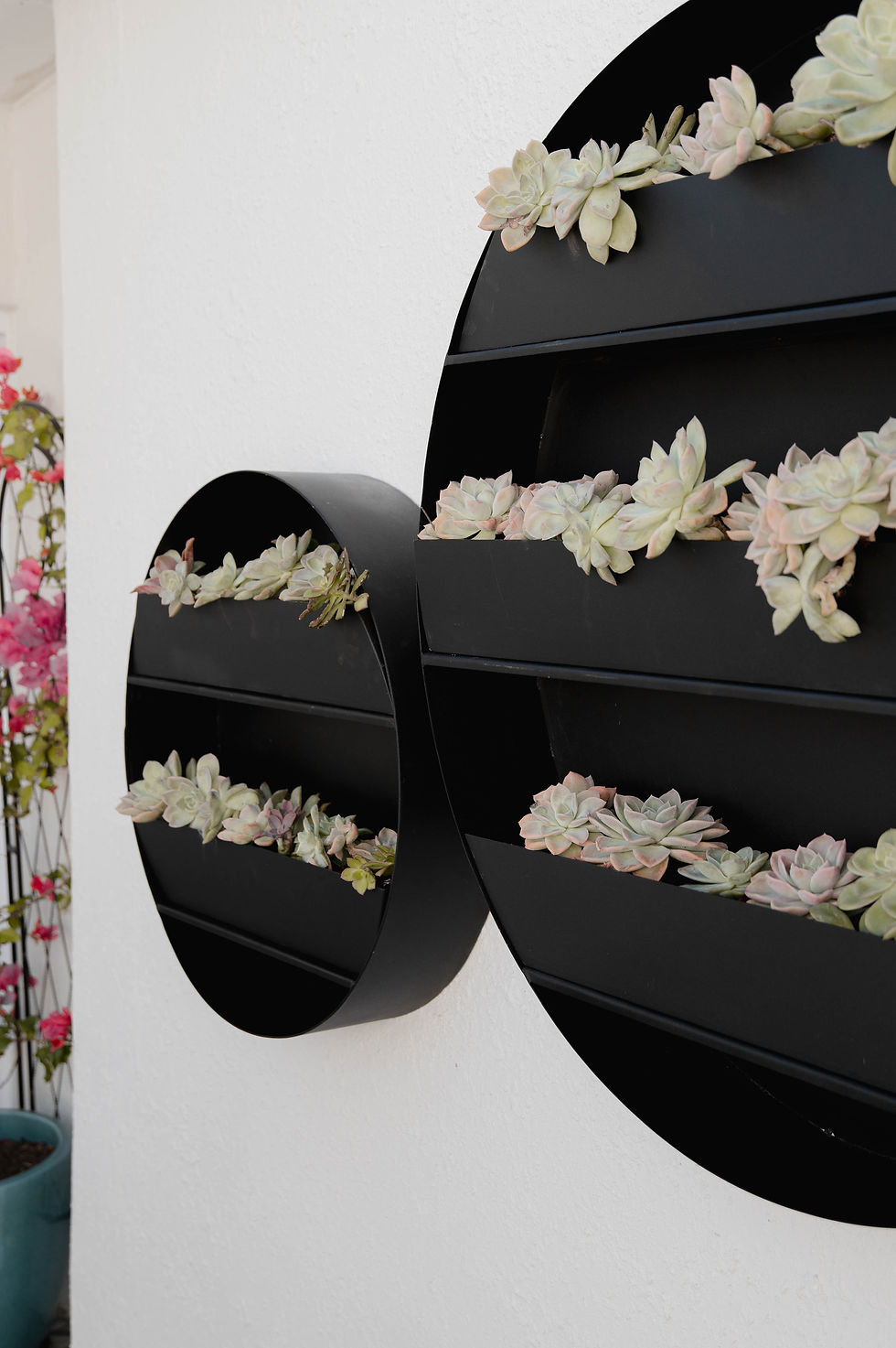 Thumbnail: Luna Wall Planter