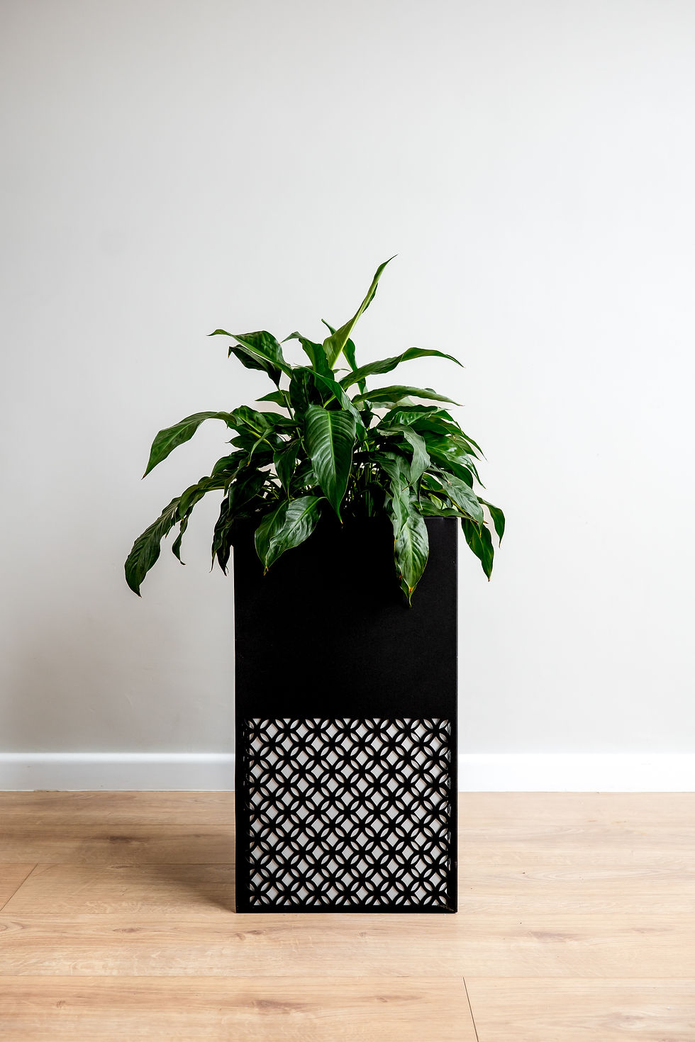 Thumbnail: Patterned Cube Planter