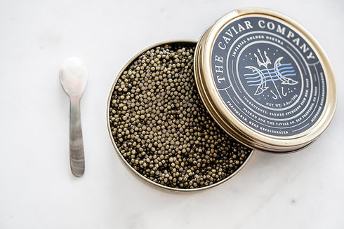 Caviar 2.jpeg