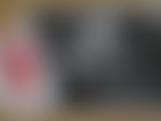 John Chafer wins 2018 L&CPU Novice Cup Mono Prints