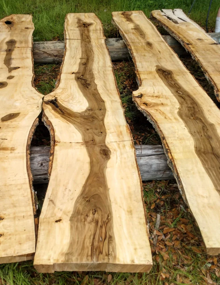 Black Gum Gallery My Site