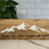 Thumbnail: Mountain wooden sign”Every Adventure begins with “YES”