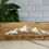 Thumbnail: Mountain wooden sign”Every Adventure begins with “YES”