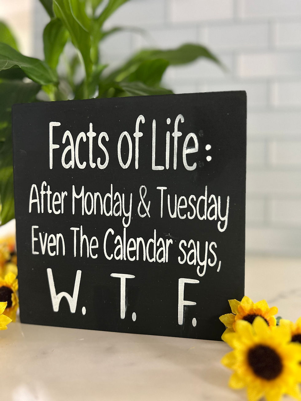 Thumbnail: Funny WTF Wooden Sign