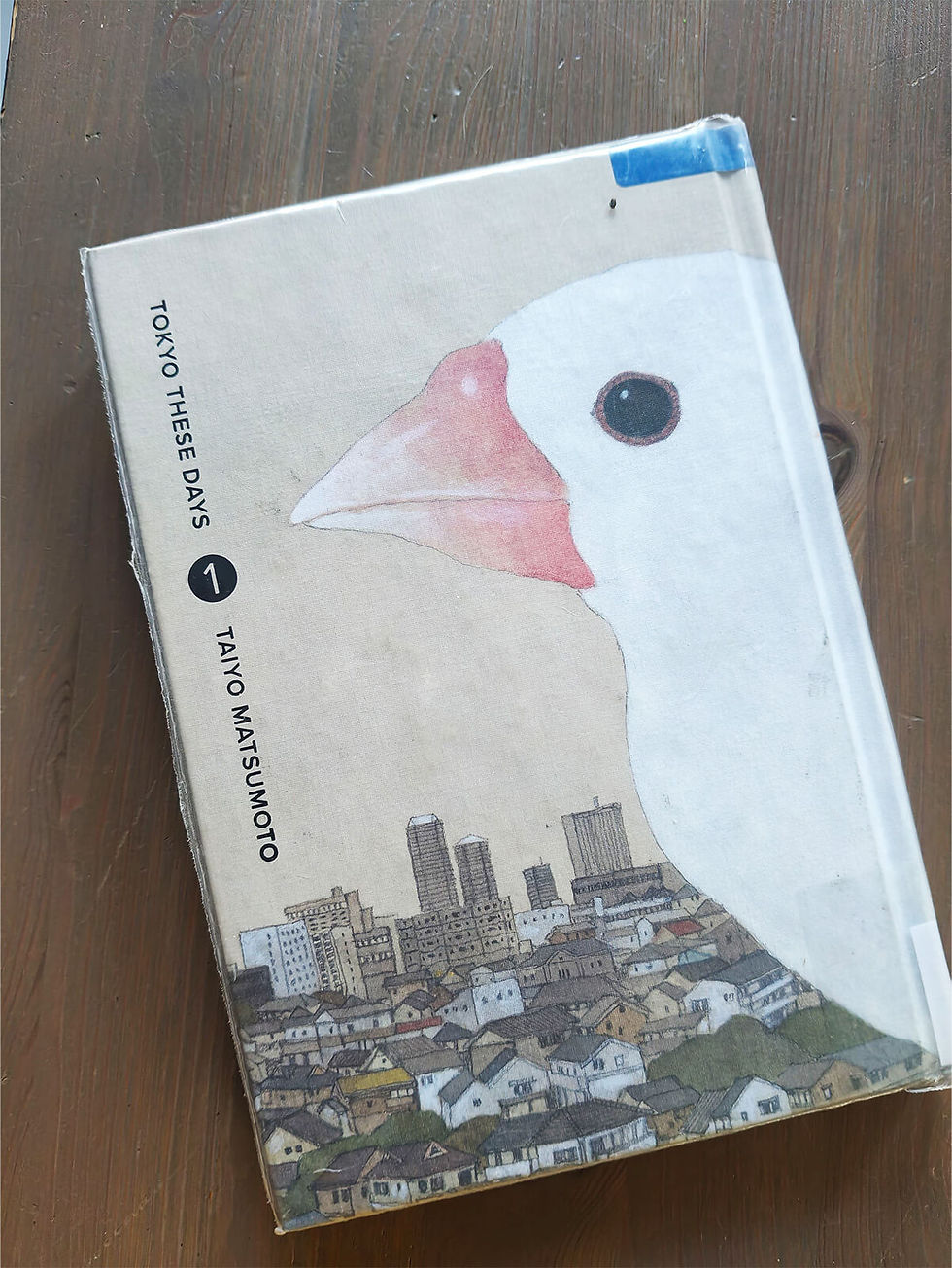 The cover of Tokyo These Days vol. 1 by Taiyo Matsumoto. כריכה של טוקיו בימים אלה של טאוי מצומוטו.