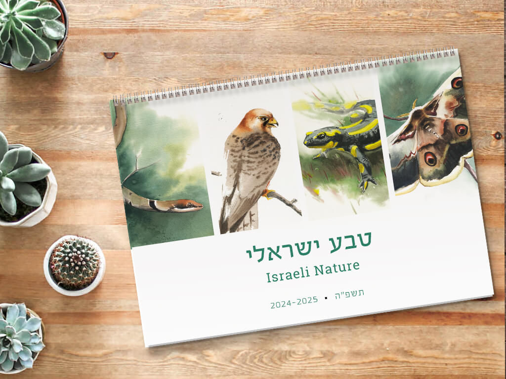 לוח שנה תשפ"ה טבע ישראלי 2024-2025 Israeli Wildlife Calendar
