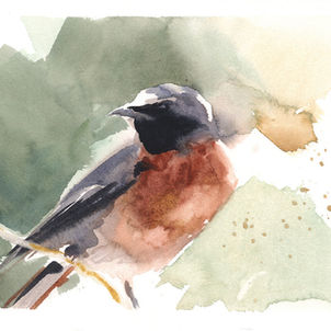 A semi-abstract watercolor of a single redstart bird in red-browns and greens