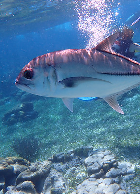 P3120163.JPG