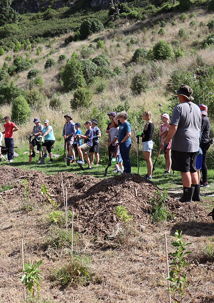 School students planting