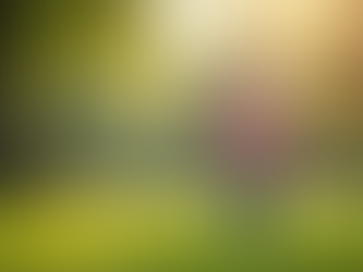 Child enjoying outdoor activities to promote eye health.