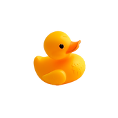 rubber duck.png