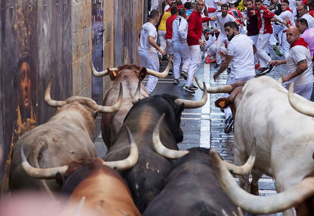 New Moon In Taurus – Taurus Galore