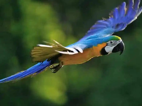 Full Moon In Aquarius – The Circle Without The Dot