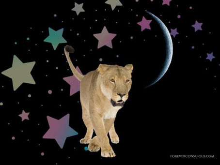 Intuitive Astrology: Leo New Moon 2022