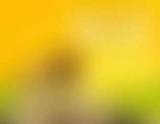 Sun in Leo: Generous, Creative, Proud
Jul 22, 2022 – Aug 22, 2022