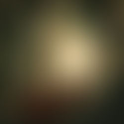 Eclipse Season Begins: Taurus Solar Eclipse Opening New Doors with Unexpected Twists