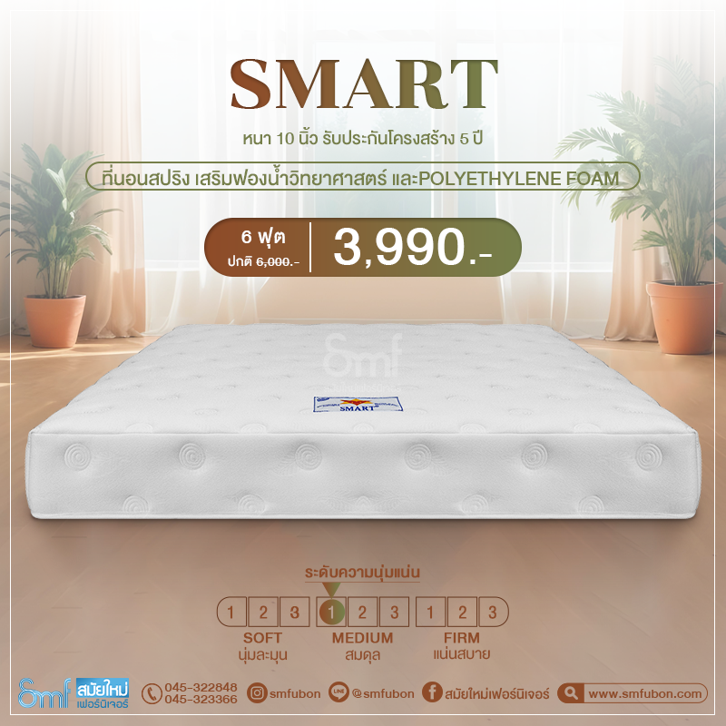 ภาพขนาดย่อ: ที่นอนสปริง เสริมฟองน้ำวิทยาศาสตร์ รุ่น Smart