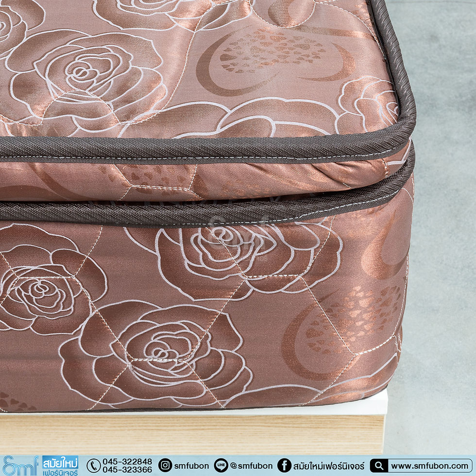 ภาพขนาดย่อ: ที่นอนสปริงเสริมท้อปเปอร์ รุ่น Soft