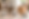 gato imagem 3.png