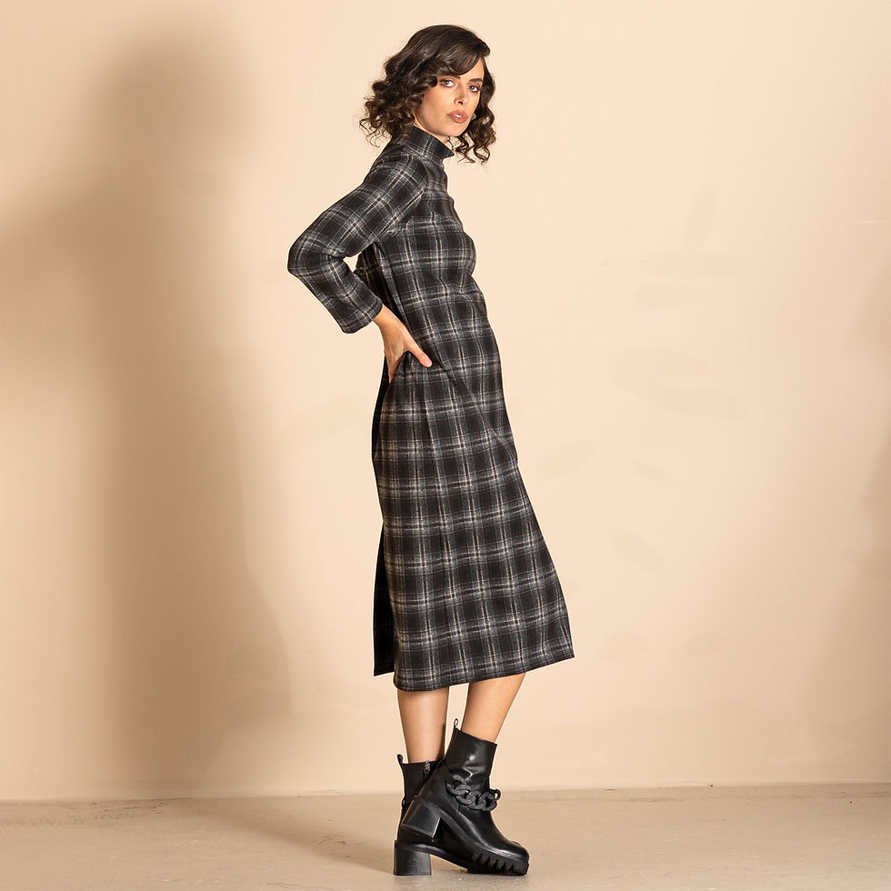 Thumbnail: Megan Salmon Huntsman Hi Crew Dress in navy check