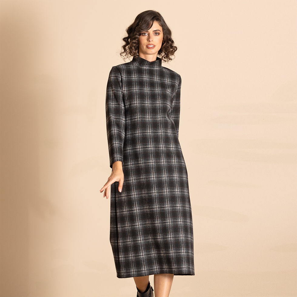 Thumbnail: Megan Salmon Huntsman Hi Crew Dress in navy check
